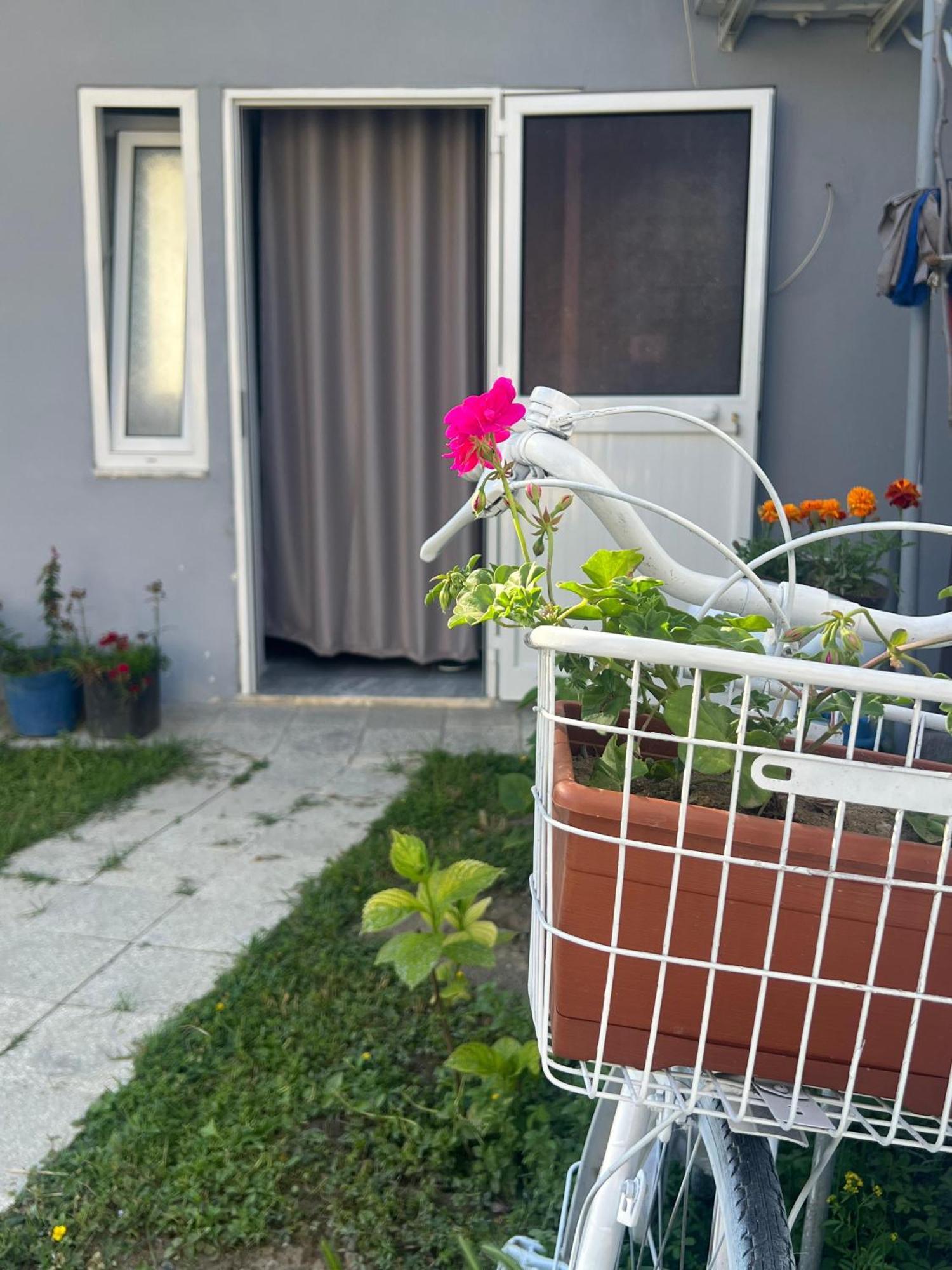 Hostal Happy Corner Shkodër